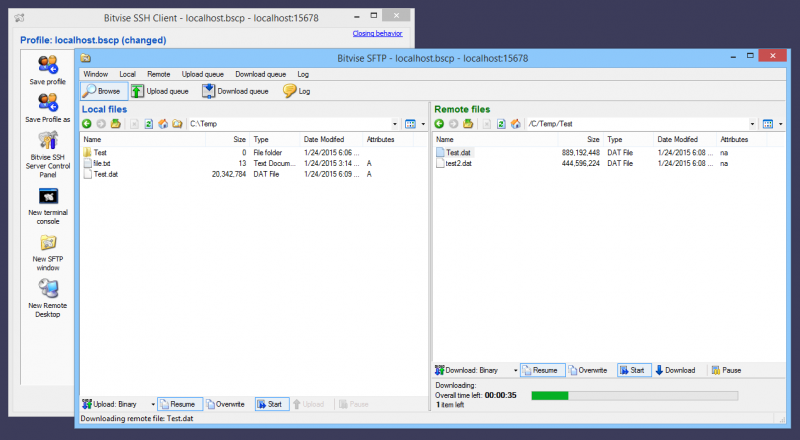 Bitvise SSH Client 7.35 | Remote Access | FileEagle.com
