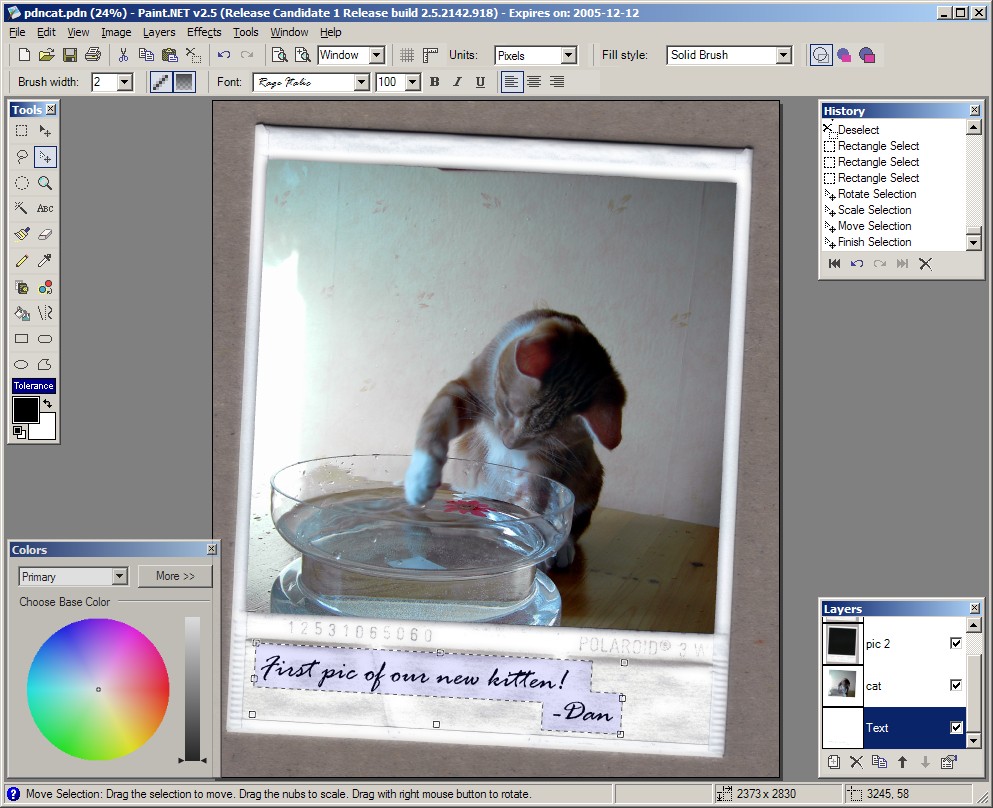 paint do net paint do net