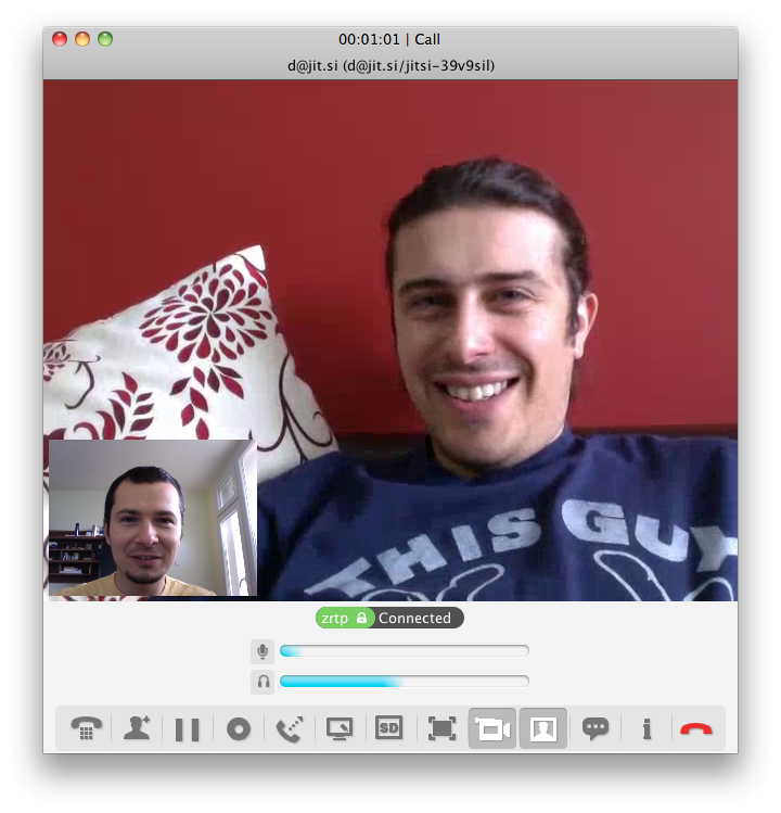 A Call Window in an Audio/Video call.