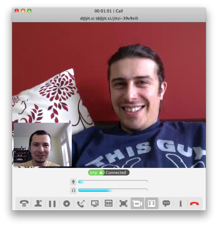 A Call Window in an Audio/Video call.