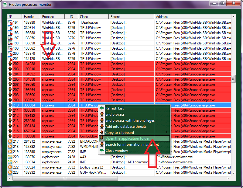 Hidden processes monitor