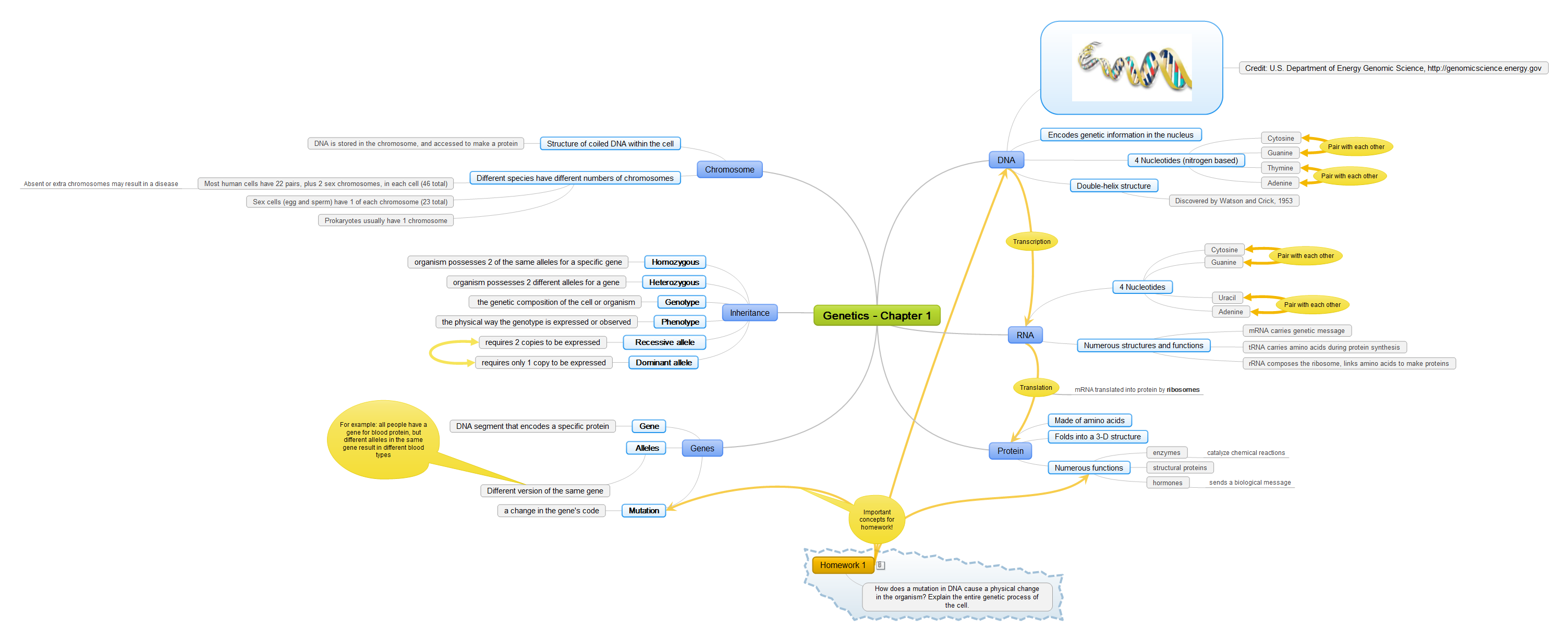 freemind - free mind mapping software freemind - free mind mapping software