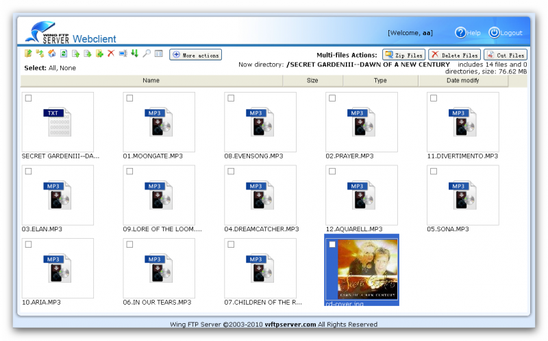 Web client