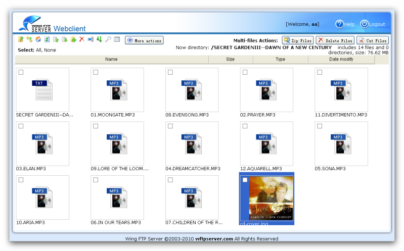 Web client