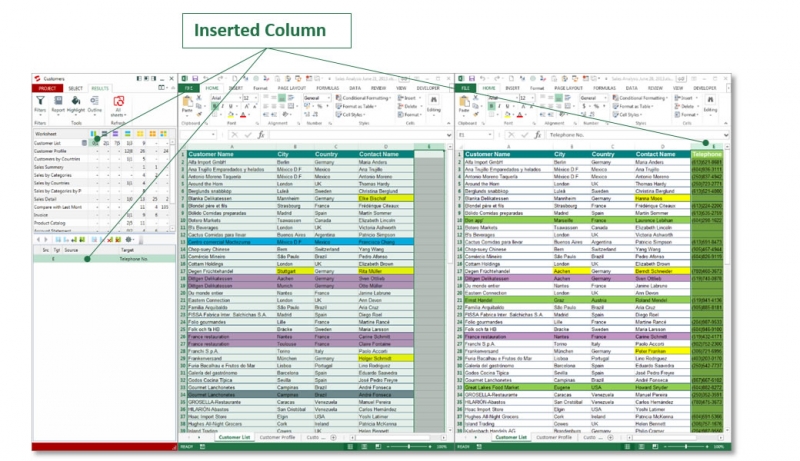 Inserted columns and rows - No big deal for Synkronizer.