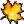 Aml Maple