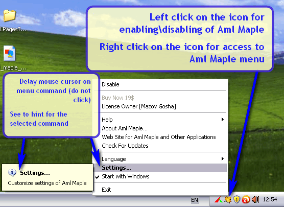 Icon & menu on system tray
