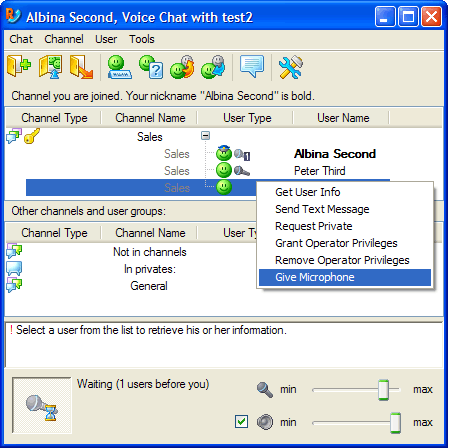 Voice Chat Main Window
