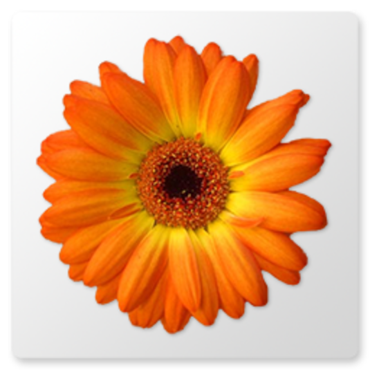 artweaver free mac artweaver free mac