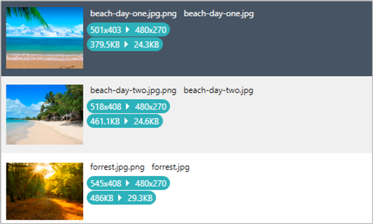 Batch Resize & Convert Images