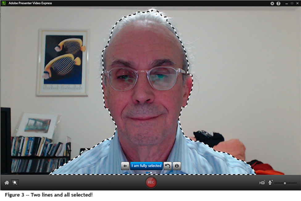 adobe presenter video express 11 adobe presenter video express 11