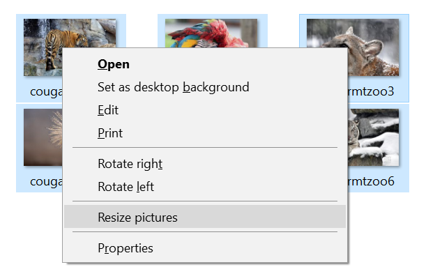 Nếu bạn đang muốn tìm kiếm một phần mềm hỗ trợ thao tác sửa chữa, chỉnh sửa hay thay đổi kích thước ảnh của mình thì chúng tôi xin giới thiệu Image Resizer. Đây là một phần mềm đơn giản và được sử dụng rộng rãi, cho phép bạn thực hiện những thao tác chỉnh sửa ảnh một cách dễ dàng.