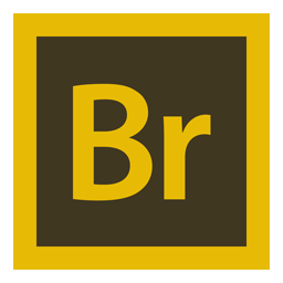 adobe bridge club adobe bridge club