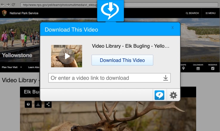 Enjoy RealPlayer from RealNetworks everywhere