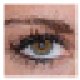 mrViewer