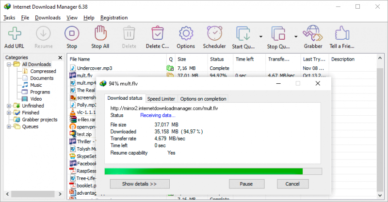 Screenshot Internet Download Manager