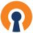 OpenVPN Connect